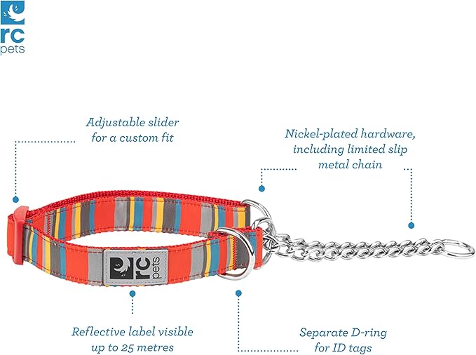 Training Collar | Large, Multi Stripes