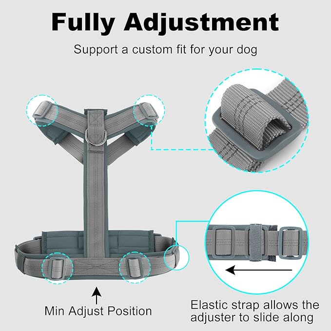 Plutus Pet No Pull Dog Harness, Adjustable Nylon Harness with Soft Padding, Reflective and Heavy Duty Dog Harness for Small, Medium, Large Dogs(Gray, L)