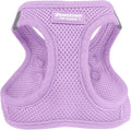 Downtown Pet Supply Step in Dog Harness for Large Dogs - Adjustable, Escape Proof Dog Harness with Reflective Trim - All-Weather, Fast-Drying Padded Mesh Fabric - Lilac, XL