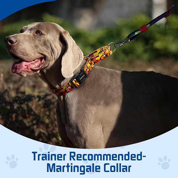 Kazazoo Martingale Collar for Dogs with Quick Release Buckle Adjustable Soft Durable Dog Collar for Small Medium Large No Pull Training Dog Collars-Maple Leaf L