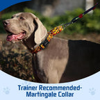 Kazazoo Martingale Collar for Dogs with Quick Release Buckle Adjustable Soft Durable Dog Collar for Small Medium Large No Pull Training Dog Collars-Maple Leaf L