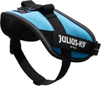 Julius-K9, 16IDC-AM-M, IDC Powerharness, Dog Harness, Size: Mini, Aquamarine
