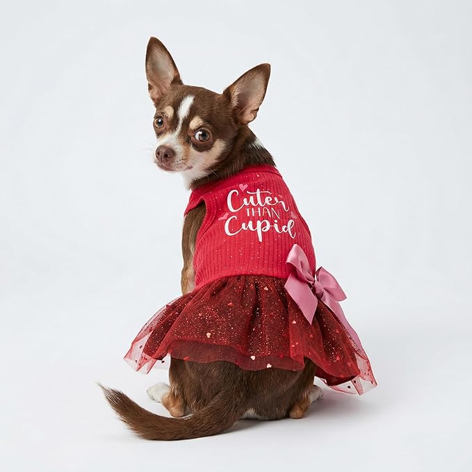 Fitwarm Cuter Than Cupid Dog Tulle Dress, Cute Girl Dog Clothes, Funny Pet Apparel, Burgundy Red, Medium