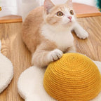 balacoo Pet Toy Cat Scratching Board, Hamster House, Egg Yolk Design, Interactive Kitten Toys