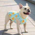 KYEESE 2Pack Dog Cooling Shirt, Breathable Dog Shirt for Small Dogs, Sun Protection Dogs Cooling Vest Tank Top, Lightweight Soft Sleeveless Summer Puppy Clothes, Duck+Blue, S
