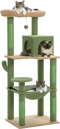PEQULTI Cat Tree for Large Cats with Metal Frame Big Hammock, Cat Tower for Indoor Cats with 2 Door Condo House, [56.3"=143cm] Multi-Level Cat Shelves with Scratching Posts and Top Perch, Cactus Green