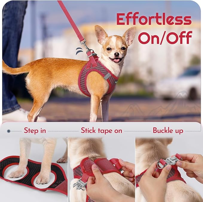 Eagloo Small Dog Harness and Leash Set, Step in Puppy Vest with Breathable Soft Mesh, Walking Reflective Pet Harness for Small Dogs, Red, S