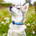 Hikiko Martingale Collar for Dogs Soft Durable Dog Collar for Small Medium Large Boy and Male Dogs No Pull No Slip Safety Buckle Dog Collars (Hill,Large)