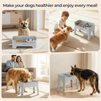 URPOWER Mess Proof Elevated Dog Bowls, High Wall Splash Guard Design, 4 Height Adjustable Raised Bowl Stand, 2 Stainless Steel Bowls, Non-Slip Food Water Set for Small Medium Large Dogs