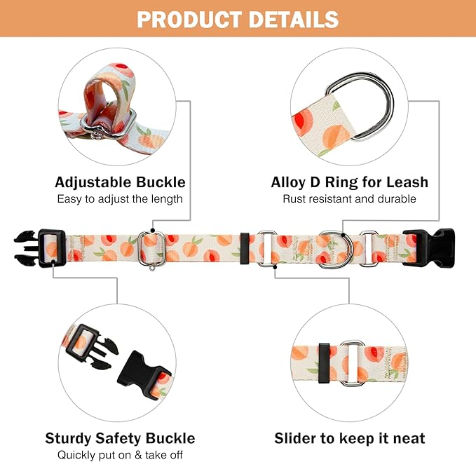 Hikiko Martingale Collar for Dogs Peach Dog Collar for Small Medium Large Dogs Cute Holiday Summer Dog Collars Pet Gift (Peach,Medium)