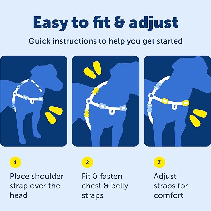 PetSafe Easy Walk Deluxe Dog Harness, No Pull Dog Harness – Perfect for Leash & Harness Training – Stops Pets from Pulling and Choking on Walks – Medium, Ocean