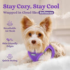 rabbitgoo Small Dog Harness, Step-in Soft Mesh Puppy Vest with Safety Buckle, Breathable Reflective Pet Harness for Extra Small Dogs, Purple XXS