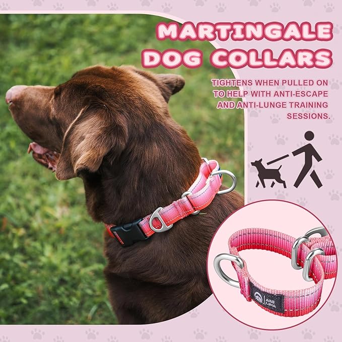 Martingale Collar for Dogs Large Medium Small Heavy Duty Buckle Dog Collar with Tag Ring Reflective Nylon Gradient Dog Collar No Pull Training Collar