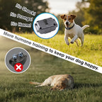 Lightest No Shock Dog Training Collar with 2000ft Remote,Tiniest Vibrating Dog Collar,Vibration Collar for Small Dogs 5-15lbs & Medium Large Dogs, Safe Lock, Beep, Vibrate, No Prongs, Waterproof,Grey