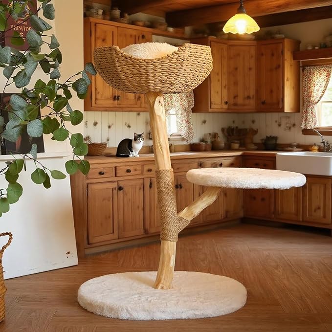 Modern Cat Tree, Natural Pear Wooden Cat Tower for Indoor Cats, Real Branch Luxury Cat Condo with Scratching Post & Hanging Toy Ball（35" Tall）