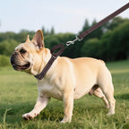 Martingale Collar for Dogs with Quick Release Buckle, Reflective Soft Padded & Escape Proof, Adjustable Nylon Dog Collars for Training & Daily Walking (Brown,S)