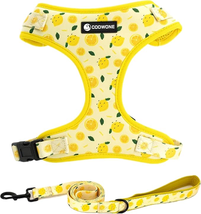 Dog Harness and Leash Set, Adjustable Dog Harness, Dog Leash, No Pull No Choke Puppy Harnesses for Walking Training for Small, Medium Pet (Lemon, S(Chest 13-19", Neck 9.5-13.1"))