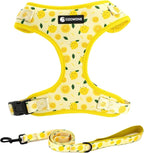 Dog Harness and Leash Set, Adjustable Dog Harness, Dog Leash, No Pull No Choke Puppy Harnesses for Walking Training for Small Medium Pet