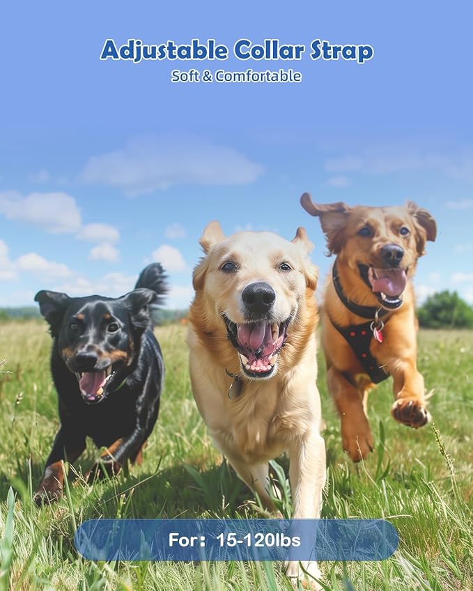 PATPET Dog Training Collar with Remote (Black(2pack))