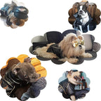 Dog Leather Jacket - Cute Leather Dog Jackets Motorcycle Clothes with Buttons Pet Waterproof Winter Coat for Small Medium Dogs(Black, XL)