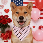 Elegant little tail Valentine's Dog Bandana - Red Heart Pet Bandanas Washable Bib Kerchief Scarf Cute Adjustable Pet Bandanas for Small Medium Dogs