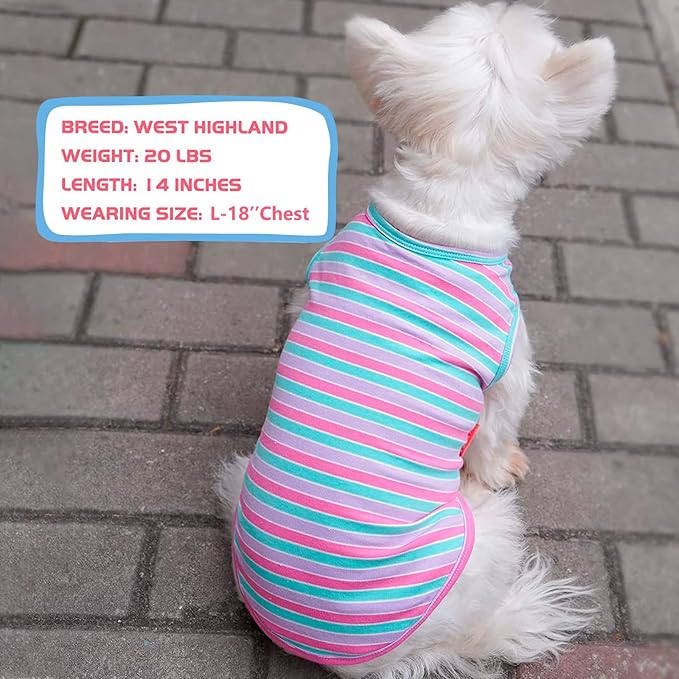 KYEESE 2Pack Dog Shirt, Soft Striped Dogs T Shirts, Lightweight Doggie Tank Top Cat Clothes, Sleeveless Dog Shirt for Small Dogs, Stretchy Pet Vest, Purple+Blue Striped, Medium