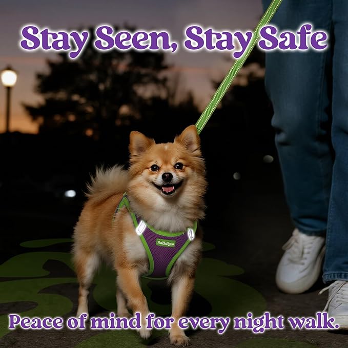 rabbitgoo Dog Harness Small Sized and Leash Set, Step-in Breathable Pet Harness, Soft Walking Reflective Puppy Vest for Small Dogs, Purple & Green, S
