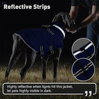 Dogcheer Dog Coat, Waterproof Dog Jacket with Harness, Reflective Adjustable Puppy Winter Coat with Zipper, Christmas Snow Jacket Clothes for Small Medium Large Dogs - Blue M