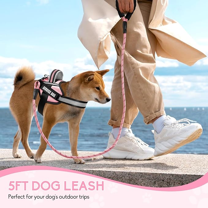 Service Dog Vest Harness and Leash Set, Animire in Training Dog Harness with 10 Dog Patches, Reflective Dog Leash with Soft Padded Handle for Small, Medium, Large, and Extra-Large Dogs(Pink,L)