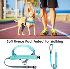 Lukovee No Pull Dog Harness and Leash Set, Soft Padded Small Dog Harness, Neck & Chest Adjustable Reflective Vest Puppy Harness with 4ft Lightweight Anti-Twist Dog Leash for Small Dogs (S, 01-LBL)