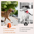 Mayerzon 1.5" Wide Martingale Collar for Large Medium Small Dogs Pitbull German Shepherd, No Pull Reflective Slip Martingale Dog Collar with Buckle Soft Padded for Walking Training(Orange,S)
