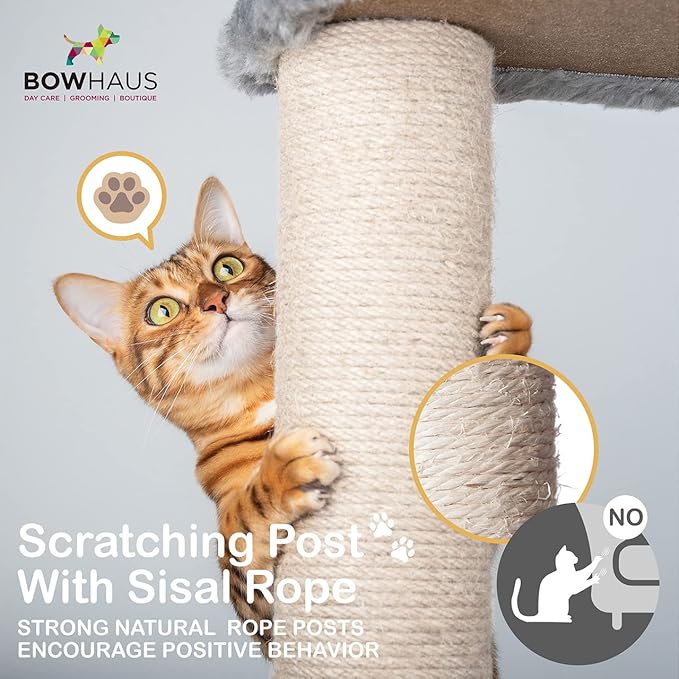Tall Cat Tree for Indoor Large Cats or Kittens, Multi-Level Cat Activity Tree with Scratching Posts, Hammock, Cat Cave Condo, Modern Cute Small Cat Climbing Tower with Widened Perch