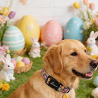 ARING PET Easter Dog Collar, Cute Purple Easter Eggs Boy Girl Doggy Collars with Quick Release Buckle for Puppy Small Medium Large Dogs-XL