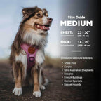 Wilderdog Lightweight Dog Harness with Reflective Straps - Medium - Huckleberry