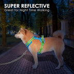 PHOEPET No Pull Dog Harness, Unique Colors Reflective Adjustable Dog Vest, with Soft Training Handle Metal Clips for Small Medium Large Dogs (Blue Base & Green Straps,XL)