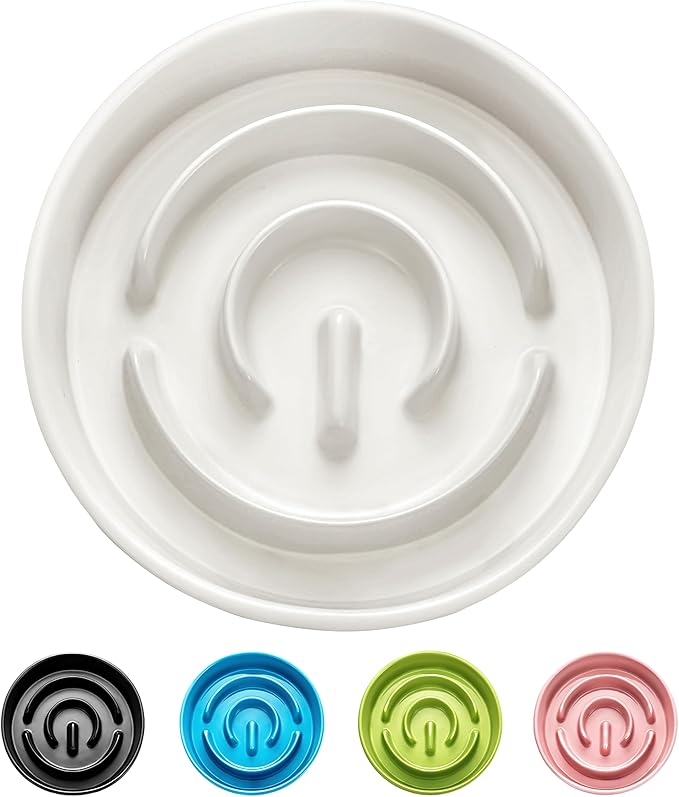 Ceramic Slow Feeder Bowls for Large Dogs, 3.0 Cups Slow Feeder for Fast Eaters, 48oz, 10in, White