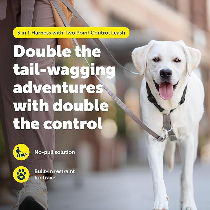 PetSafe 3-in-1 Harness with Two-Point Control Leash - Custom Fit Durable Obedience Gear for Gentle Behavior Training to Reduce Leash Pulling - Breathable Padded Design - Medium - Black
