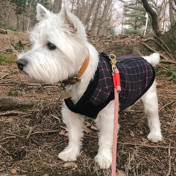 Gooby Fashion Vest Check Dog Jacket - Navy Check, Small - Warm Zip Up Bomber Vest with Dual D Ring Leash - Winter Water Resistant Small Dog Sweater