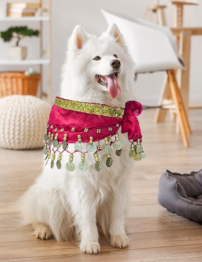 Dog Belly Dancer Costume - Puppy Outfit with Sequin Waist Chain & Hip-Shaking Skirt - Ideal for Corgi and Puppy Birthday Parties or Halloween Celebrations(Small,Rose Red)