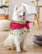 Dog Belly Dancer Costume - Puppy Outfit with Sequin Waist Chain & Hip-Shaking Skirt - Ideal for Corgi and Puppy Birthday Parties or Halloween Celebrations(Small,Rose Red)