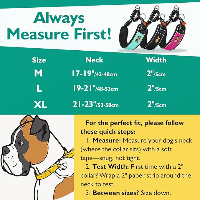 Mayerzon 2 Inch Wide Martingale Collar for Large Dogs, Patented No Pull Walking Training Dog Collar for Pitbull German Shepherd, with Buckle, Reflective Stitching, Neoprene Layer, Adjustable(Teal, L)