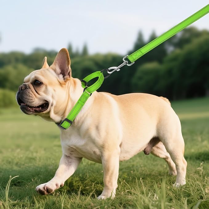 Martingale Collar for Dogs with Quick Release Buckle, Reflective Soft Padded & Escape Proof, Adjustable Nylon Dog Collars for Training & Daily Walking (Green,S)