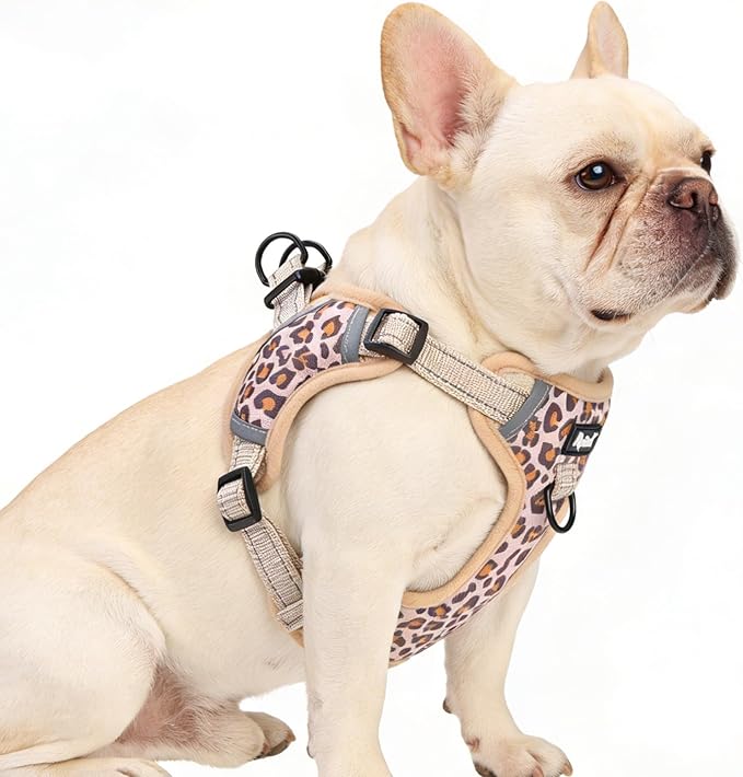 PUPTECK No Pull Dog Harness Small Sized Dog, Adjustable Reflective Escape Proof Easy Control, Comfortable Soft Padded Step in Pet Vest Harness, Brown Leopard, M
