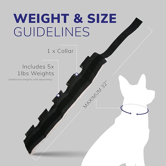 ActiveDogs Weighted Dog Collar for Muscle Building and Tactical Training - Dog Weighted Vest for Exercise - Includes 5x1lb Weights & Sheepskin Padding - Ideal for K9, Bully, Bull Terrier & More