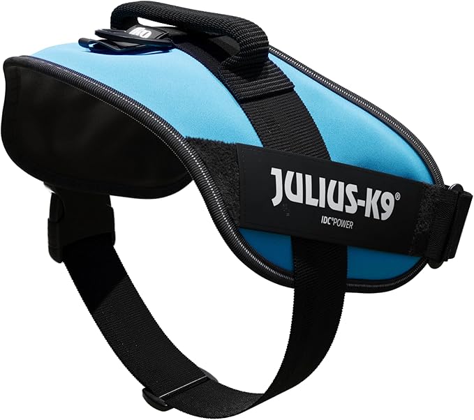 Julius-K9, 16IDC-AM-2, IDC Powerharness, Dog Harness, Size: 2, Aquamarine