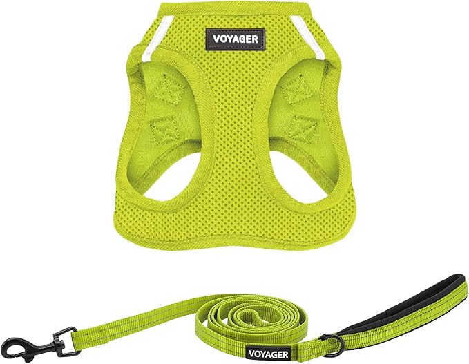 Best Pet Supplies Voyager Step-in Air All Weather Mesh Harness and Reflective Dog 5 ft Leash Combo with Neoprene Handle, for Small, Medium and Large Breed Puppies - Set (Lime Green), XS
