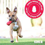 KONG - Puppy Toy - Natural Teething Rubber - Fun to Chew, Chase and Fetch ( Colors May Vary)