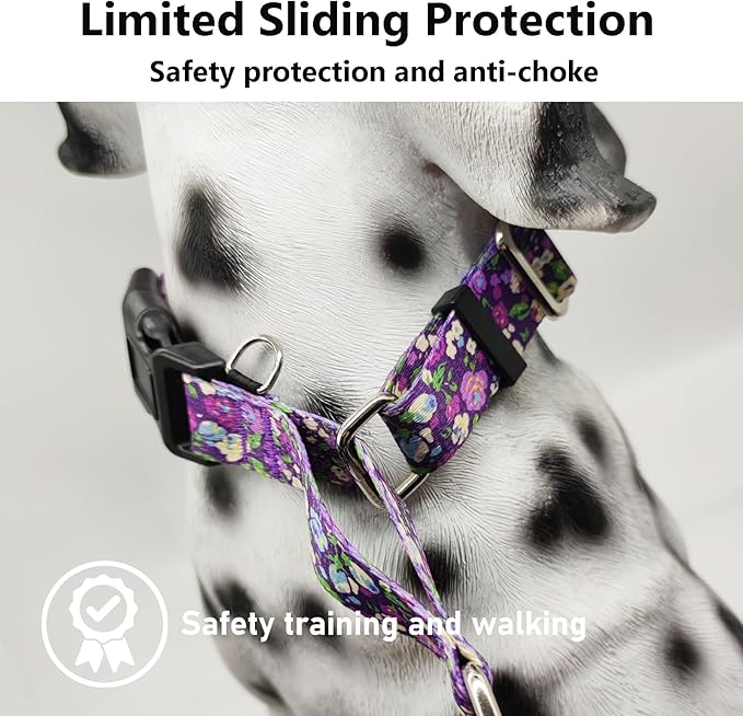 Martingale Collar for Dogs with Buckle Floral No Pull Training Dog Collars (Purple Floral, XSmall)