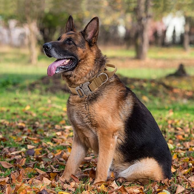 Tactical Dog Collar with Handle - Military Adjustable Dog Training Collar Soft Nylon and Heavy Duty Metal Buckle for Medium Large Dogs - with Patch (Brown, Medium)