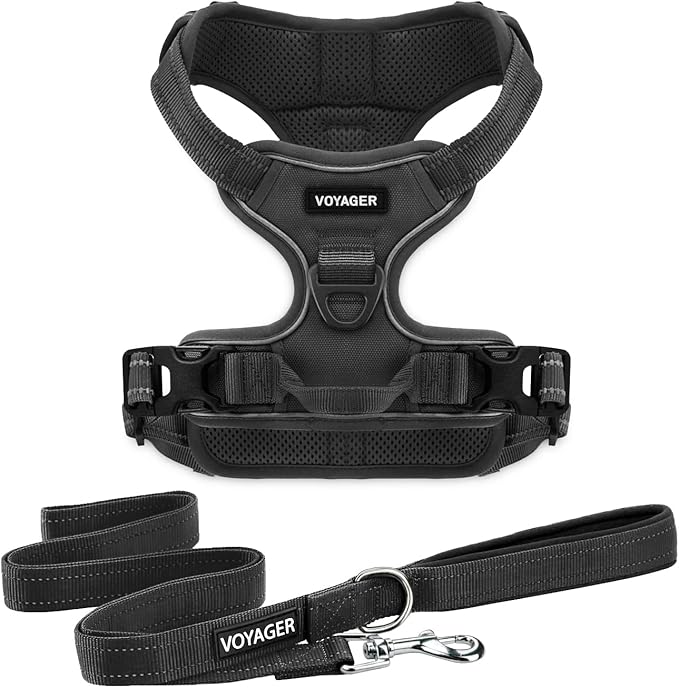 Voyager Dog Harness Dual Leash Attachment No-Pull Control Adjustable Soft but Strong Pet Harness for Medium and Large Dogs with 3M Reflective Technology, Leash Set Black Nylon, XL (Chest: 28-37")
